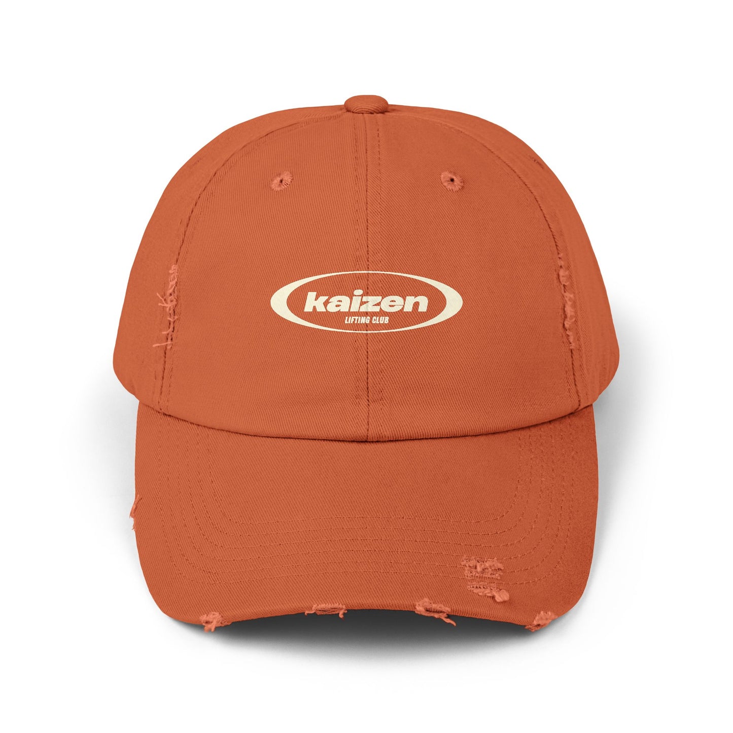 Distressed Circle Hat