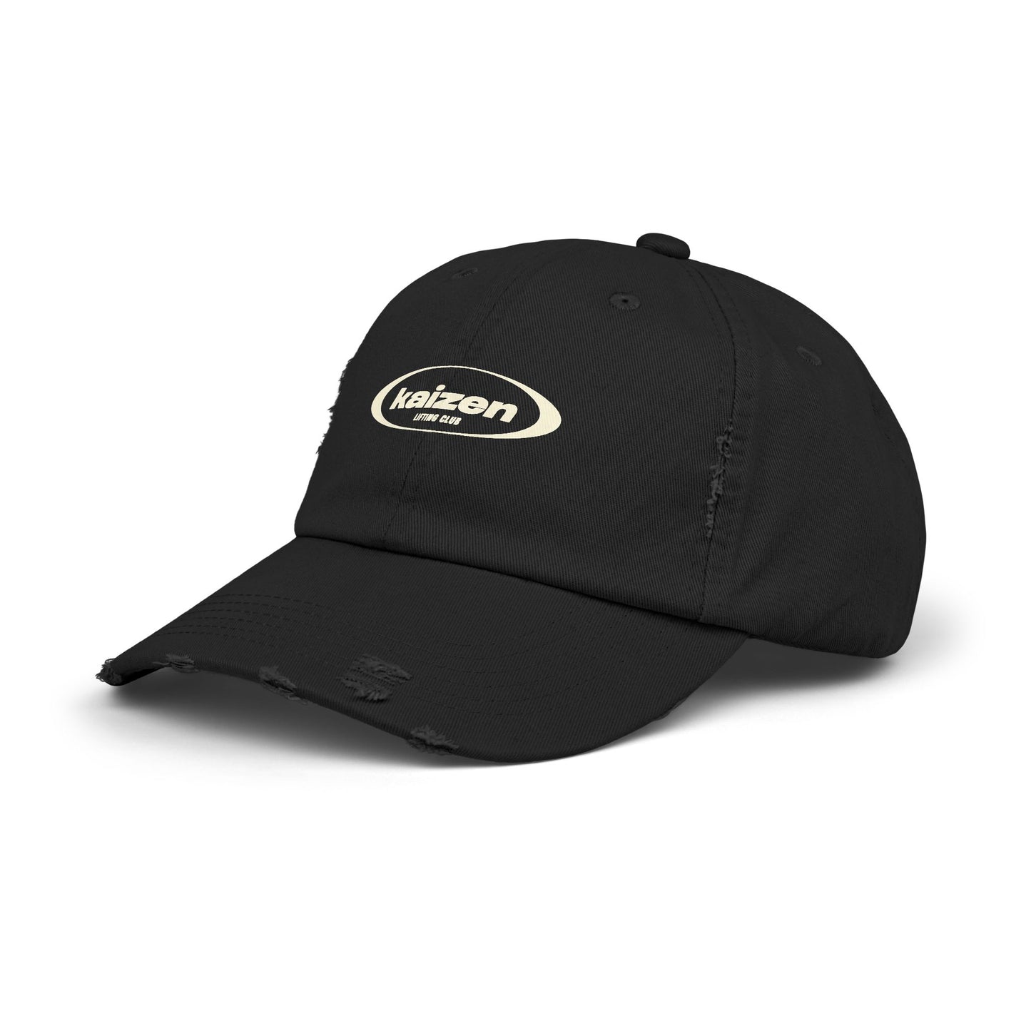 Distressed Circle Hat