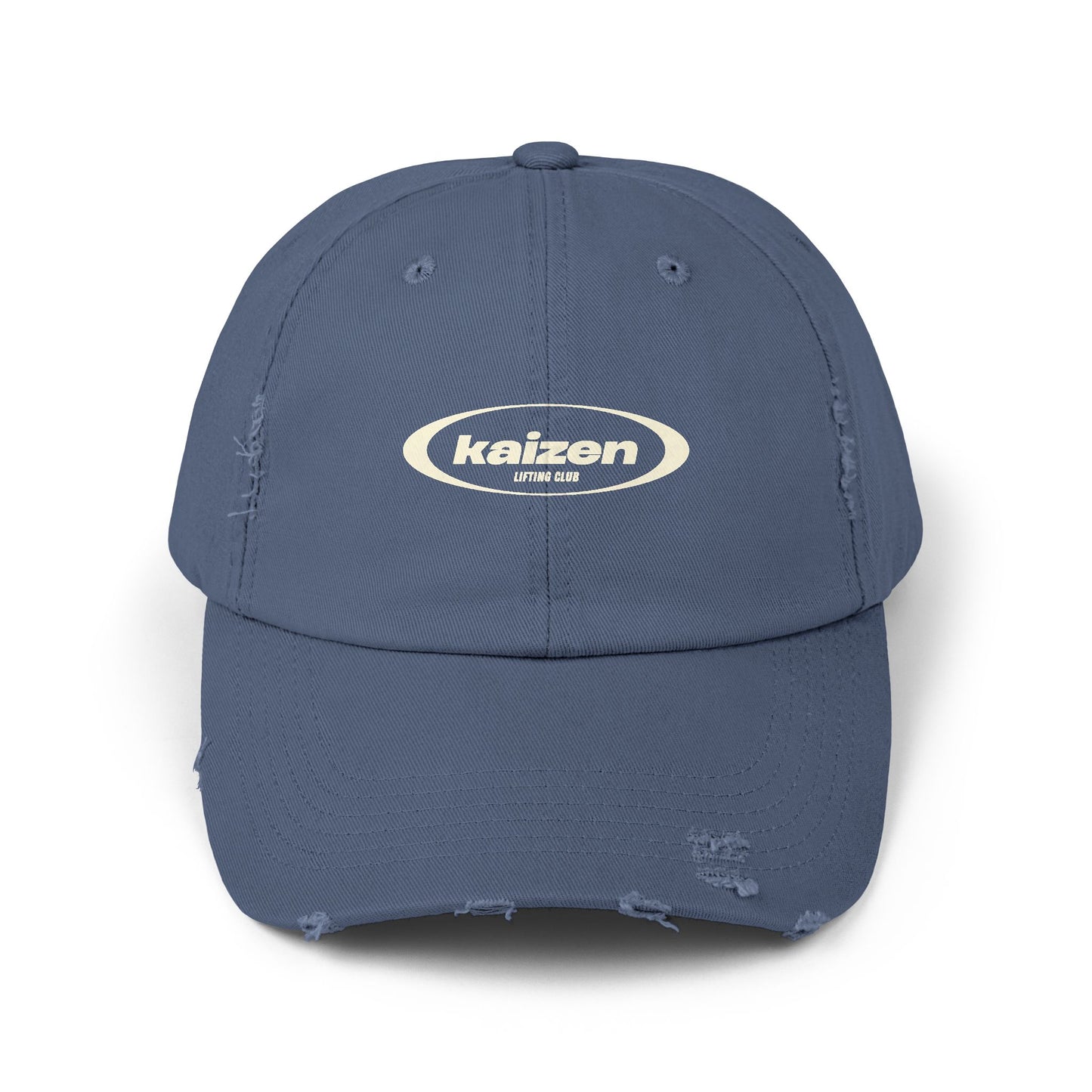 Distressed Circle Hat