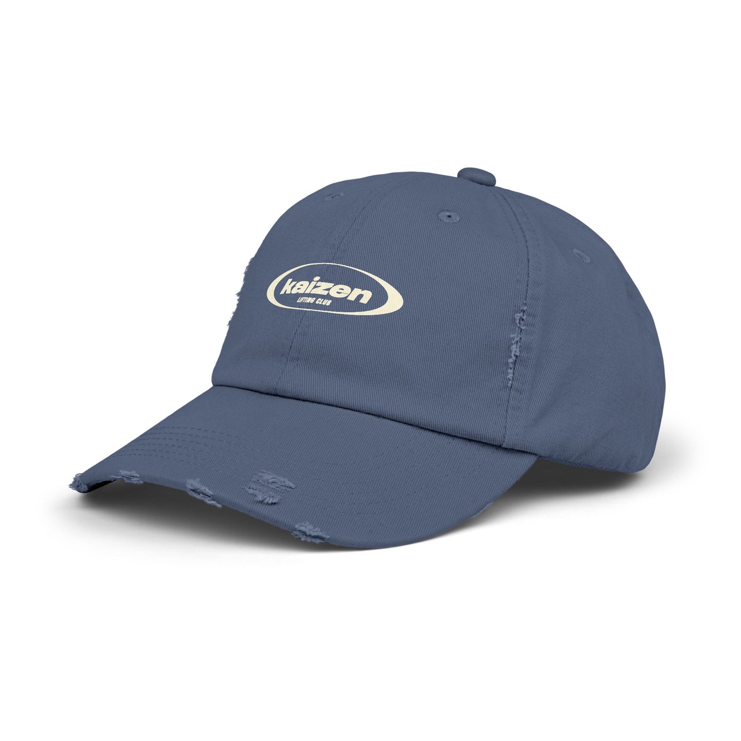 Distressed Circle Hat