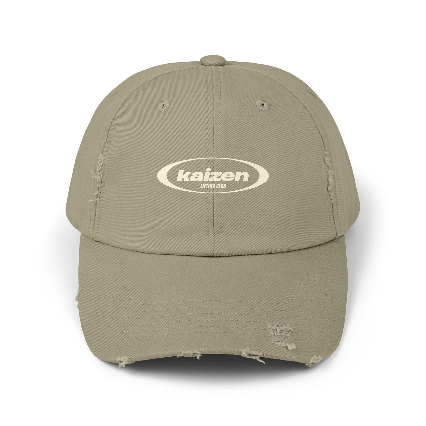 Distressed Circle Hat