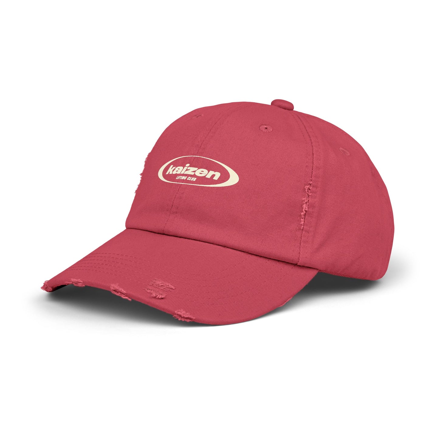 Distressed Circle Hat