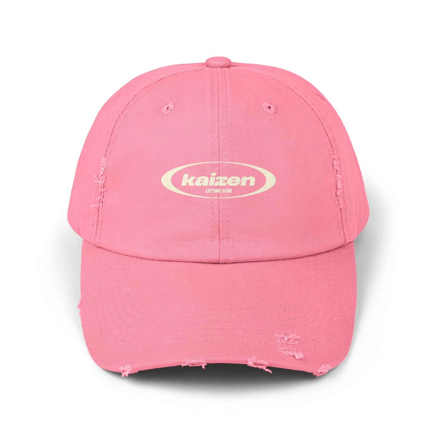 Distressed Circle Hat