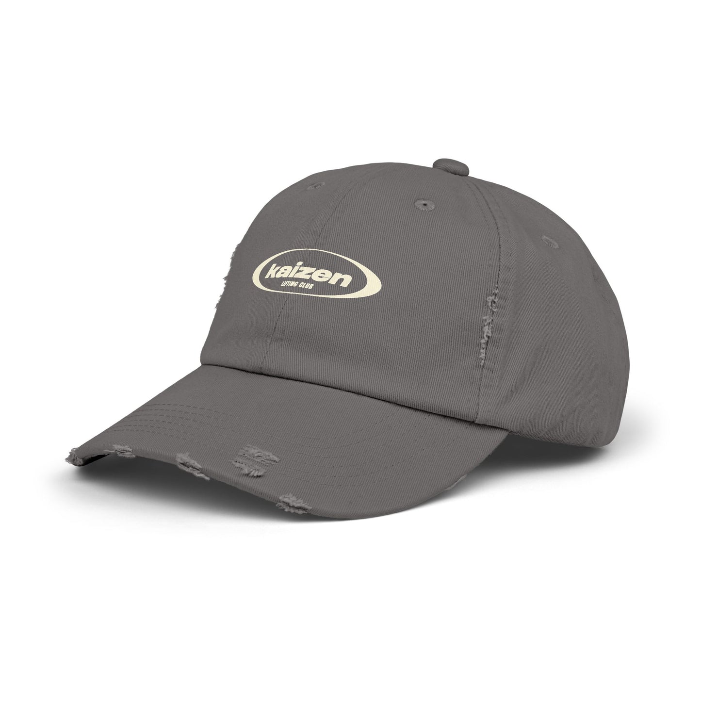 Distressed Circle Hat
