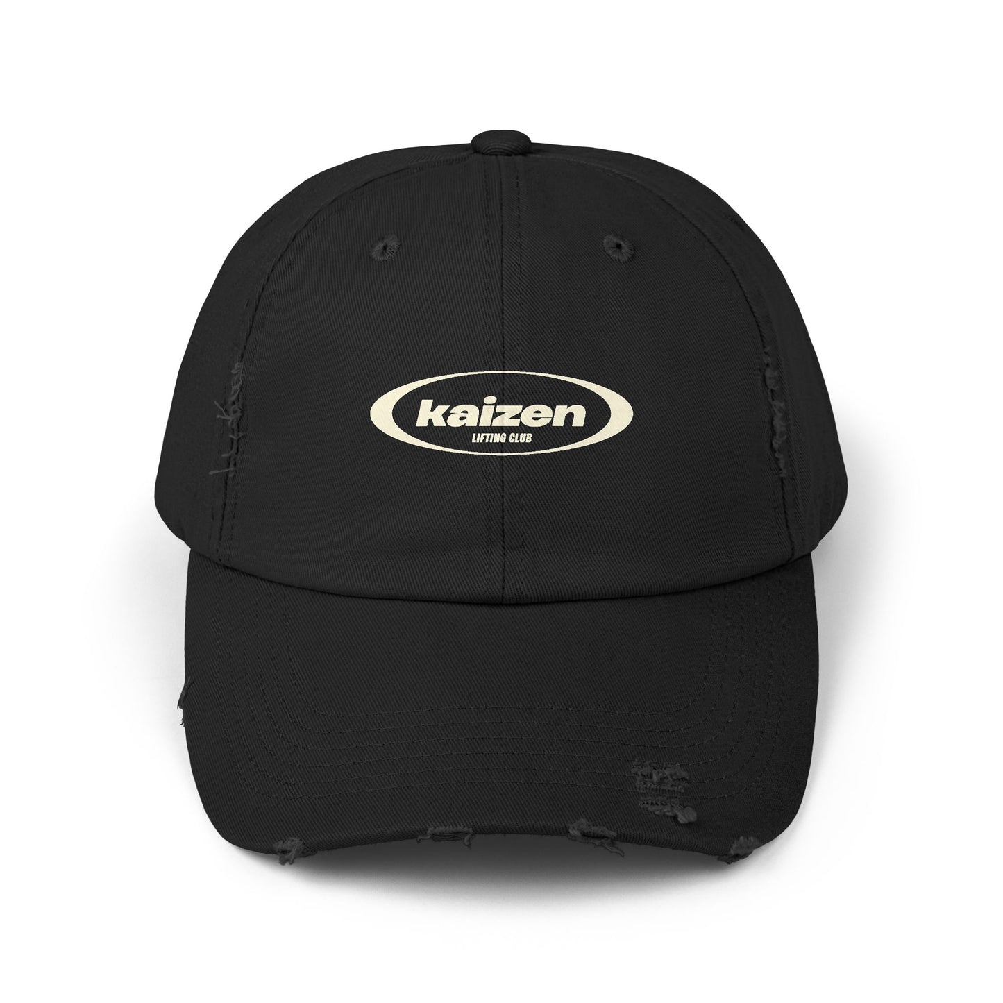 Distressed Circle Hat