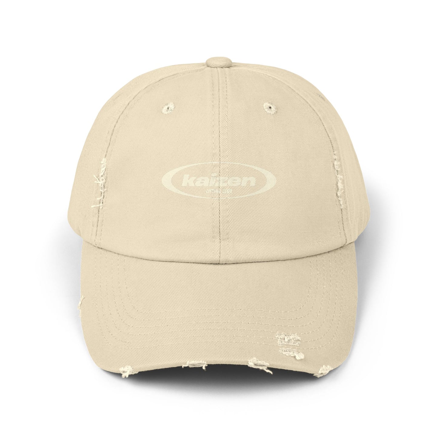 Distressed Circle Hat