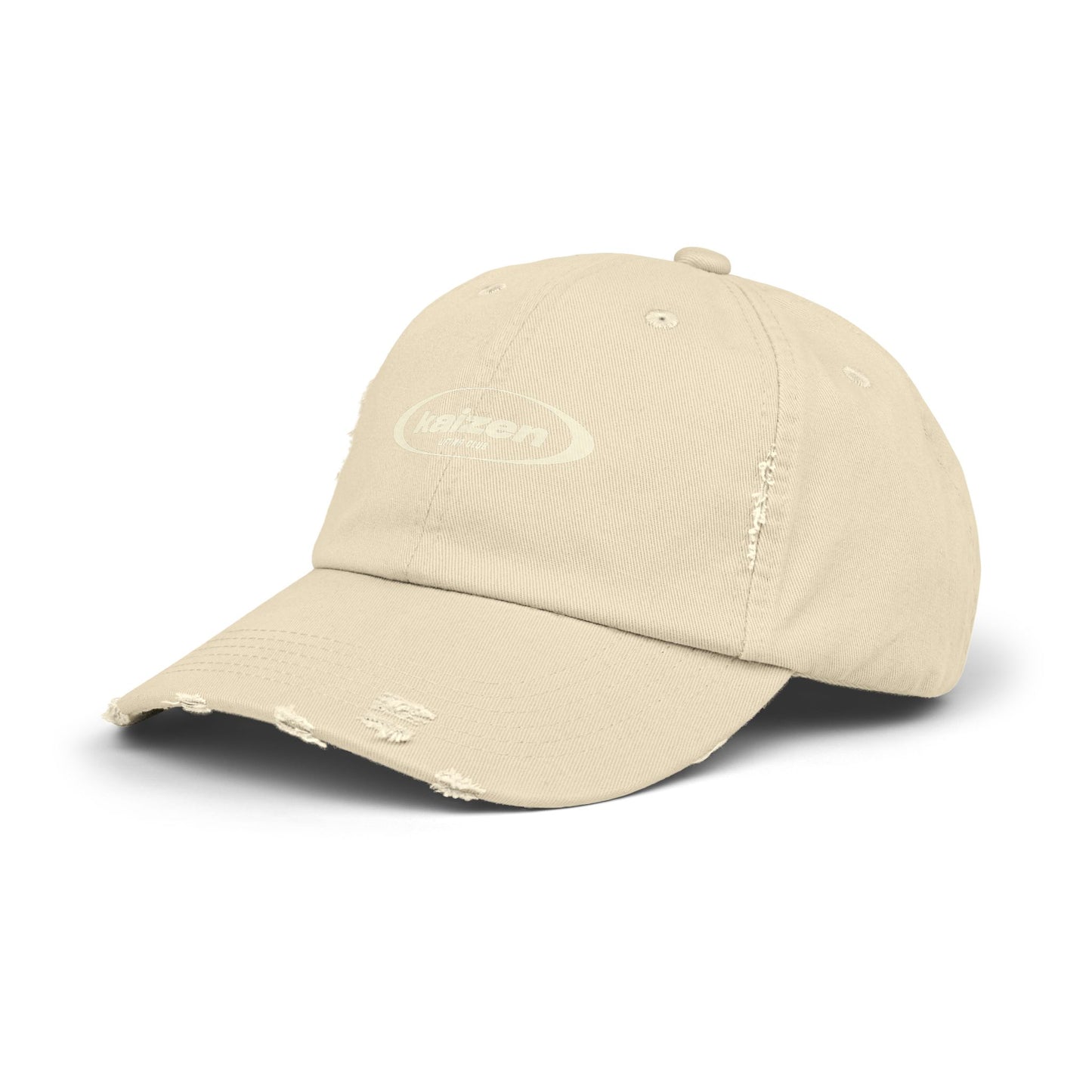 Distressed Circle Hat