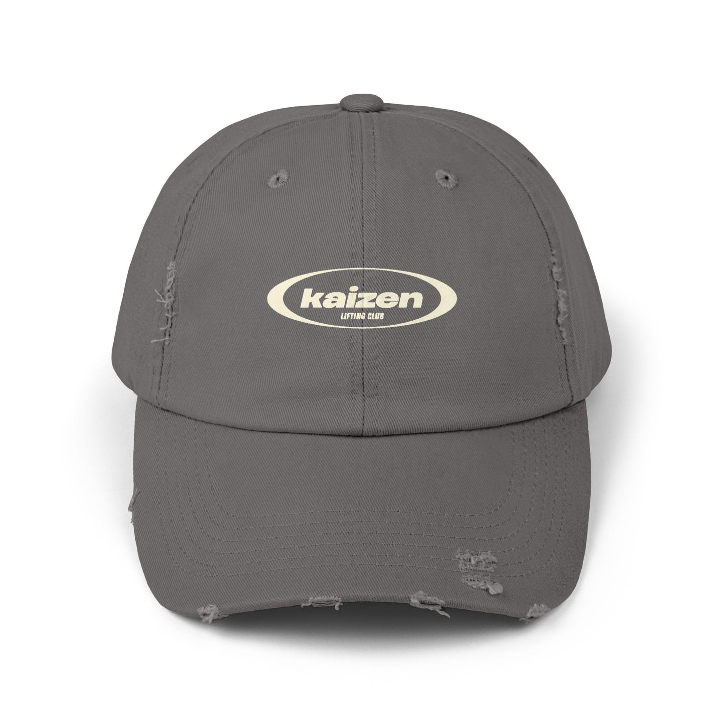 Distressed Circle Hat