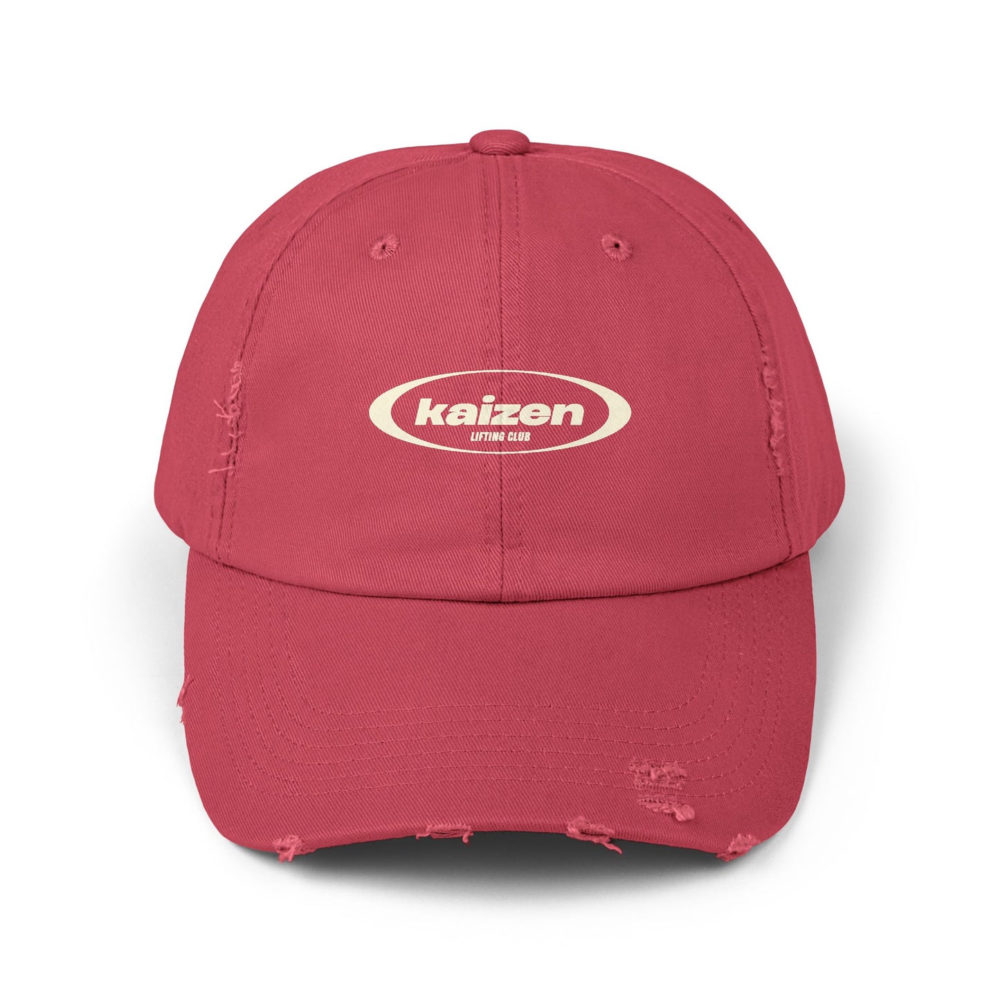 Distressed Circle Hat
