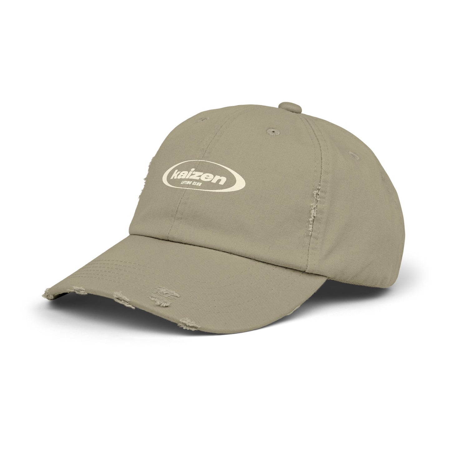 Distressed Circle Hat
