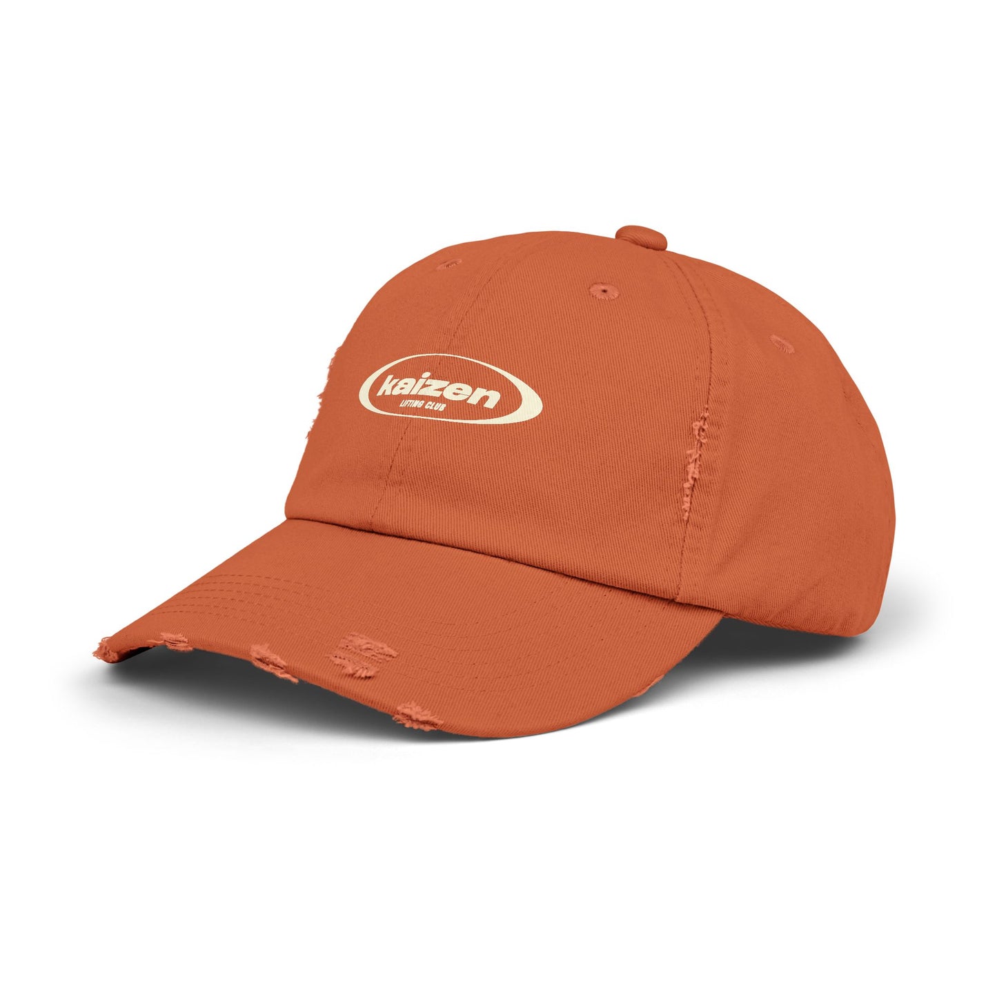 Distressed Circle Hat