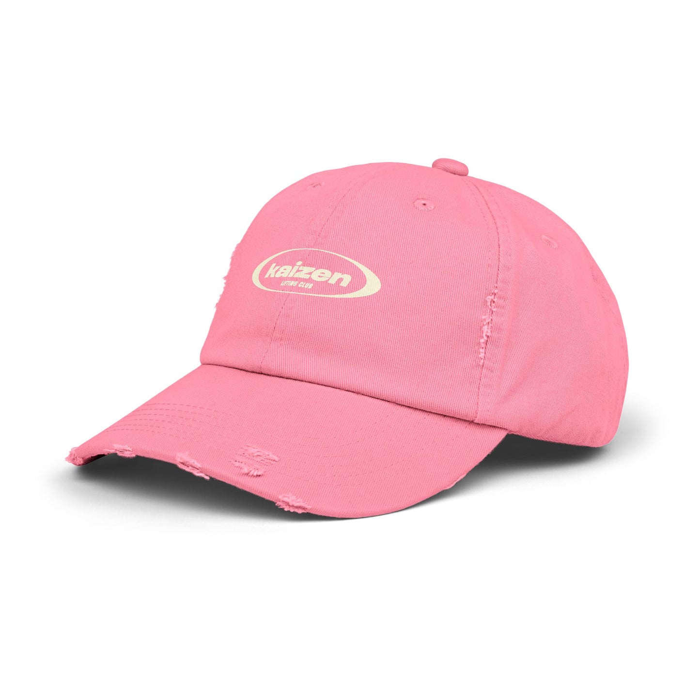 Distressed Circle Hat
