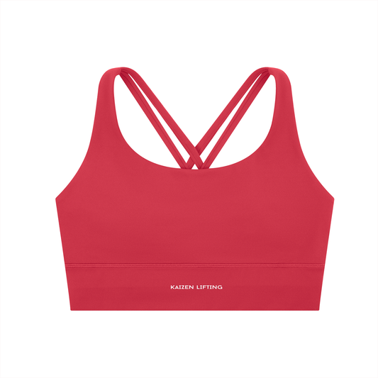 Evolve Criss-Cross Sports Bra